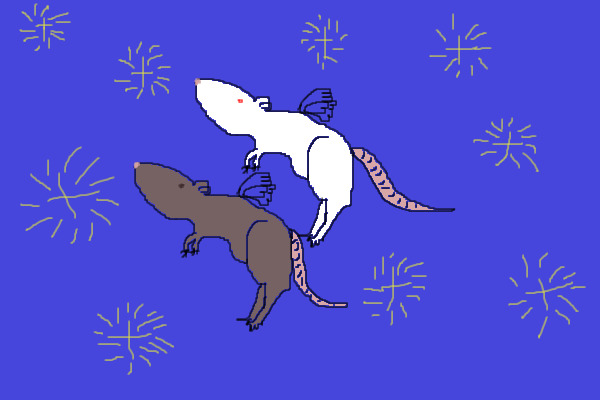flying mice