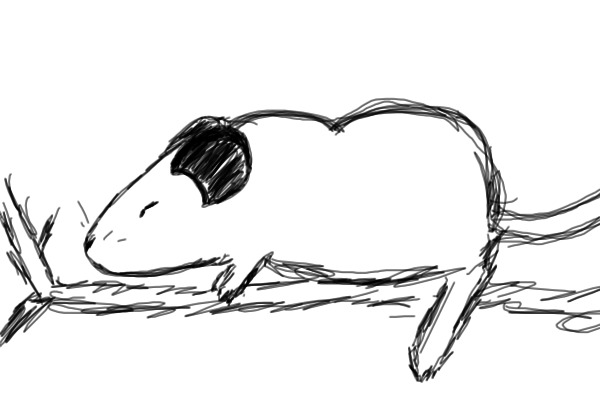 Random mouse drawing