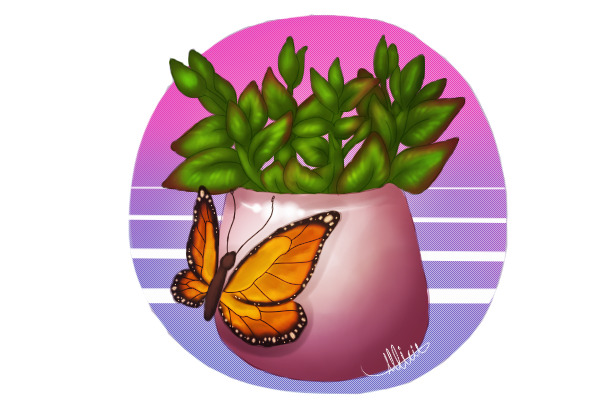 monarch succulent