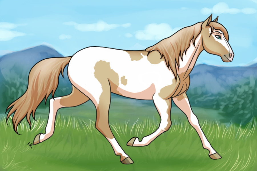 Entry #1 - Red Dun Tobiano (Mare)