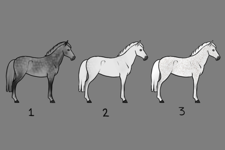 Horse Colour Genetics - Grey