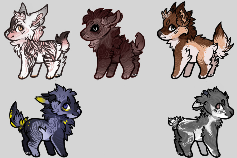 CLOSED - Auction Adopts