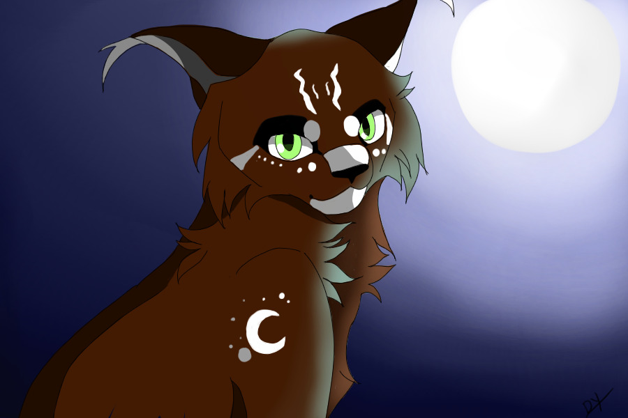 Moonlight Lynx