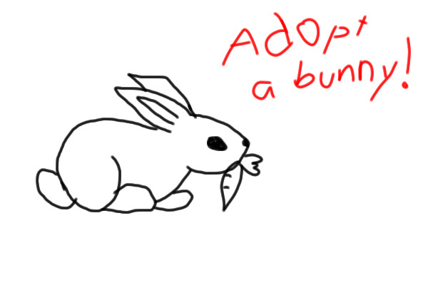 Adopt a bunny