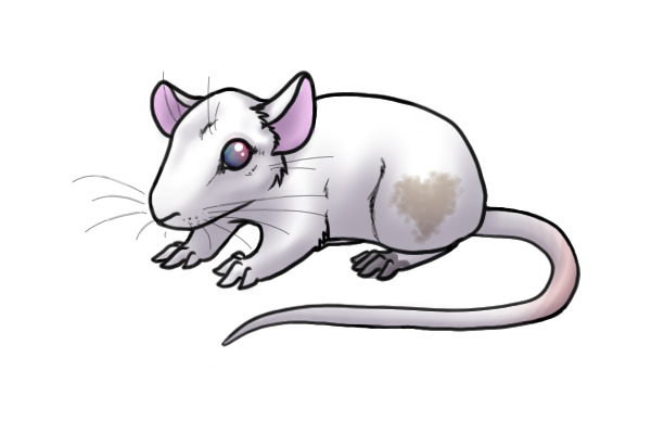 Senki as a rat.