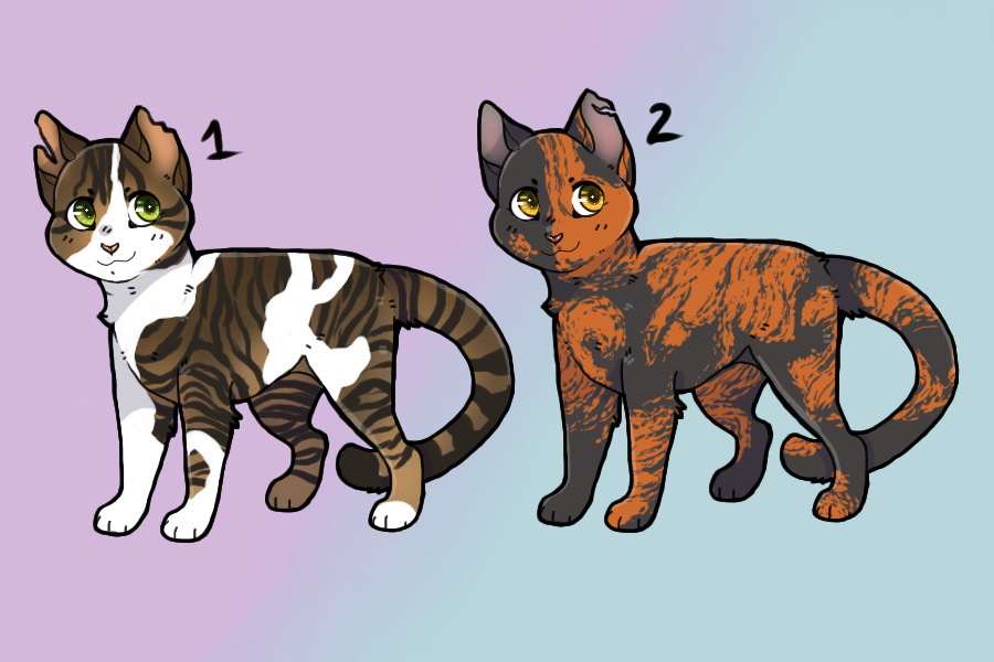 Ripped Ear Cat Adopts | closed | 40C$ or 200 DA points