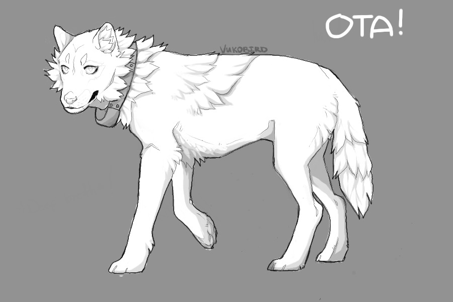 Wolf Lines OTA/Auction