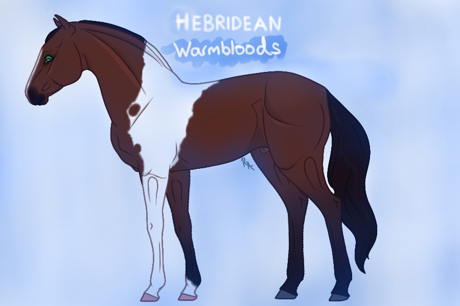 Hebridean Warmbloods - A Horse SIM - WIP, posting open