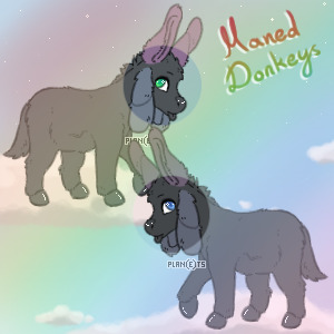 💎 Maned Donkeys - Nursery