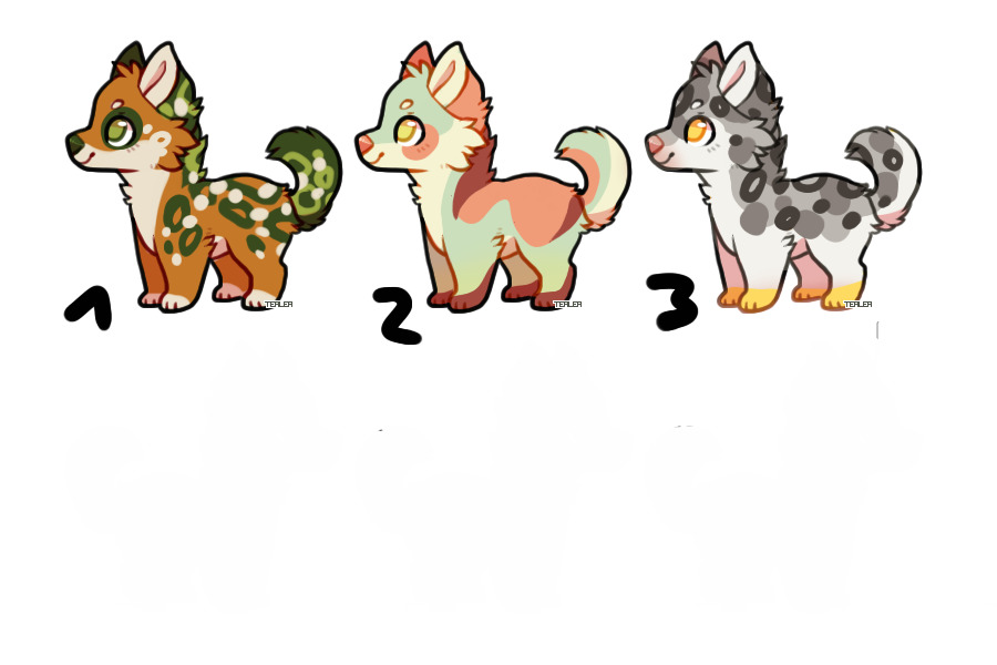 adopts for cs pets
