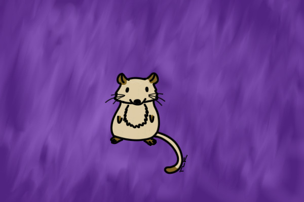 Siamese Mouse