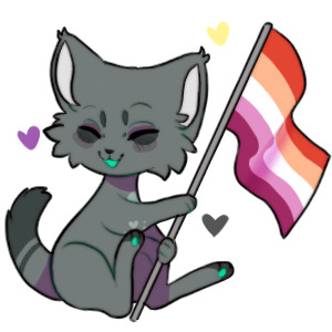 whagt the heck gay little cat