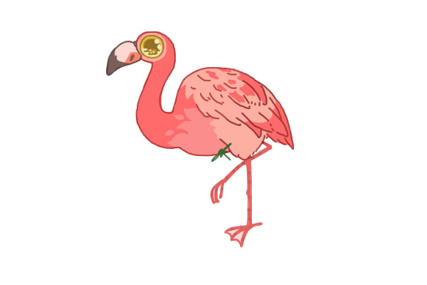 one(1) single flamingo adopt