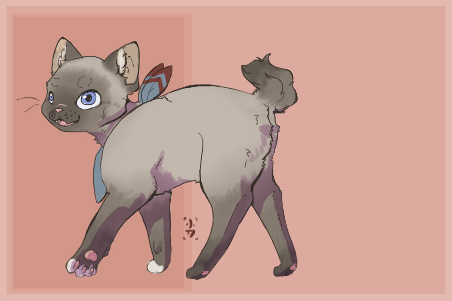 Taupe Point Cat [Closed]