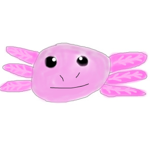 A simple axolotl