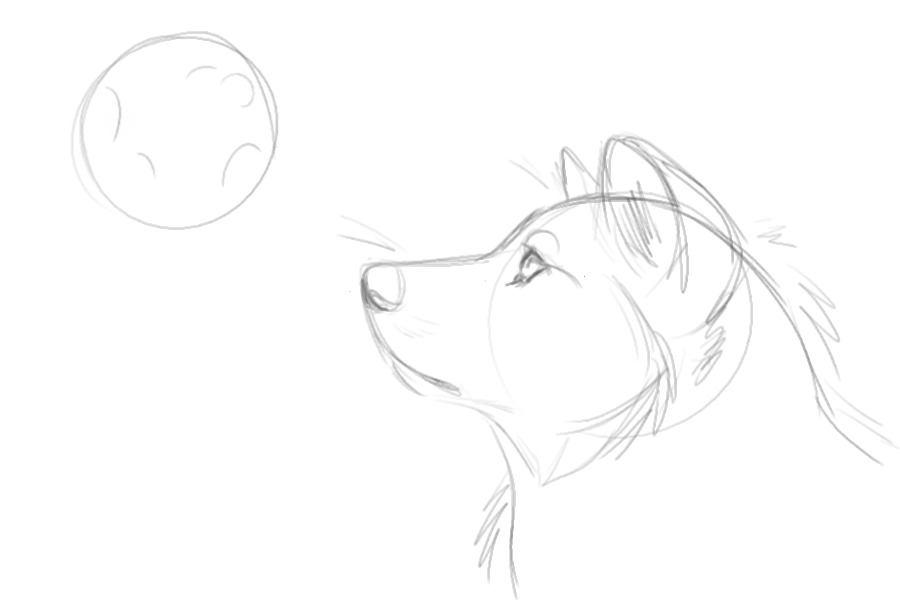 Wolf and the moon sketch