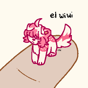 El wiwi