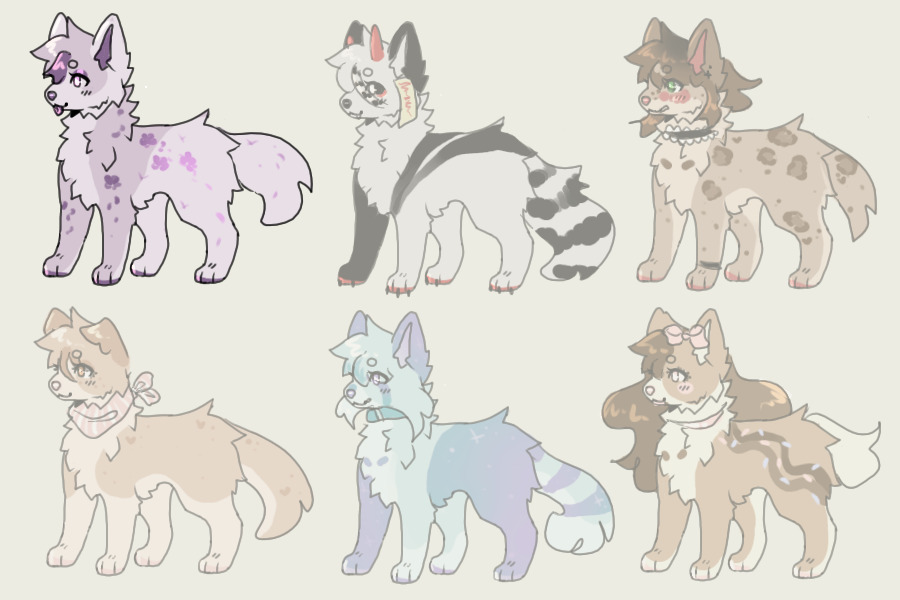 dog adopts || 1/6 open
