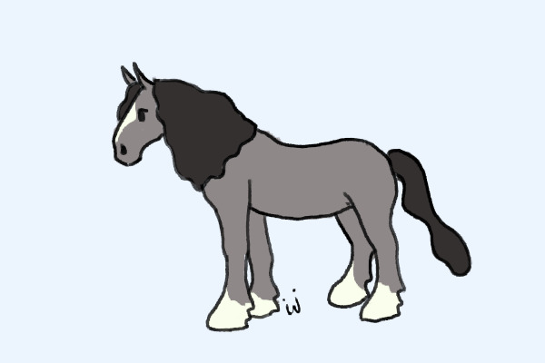 A grey pony