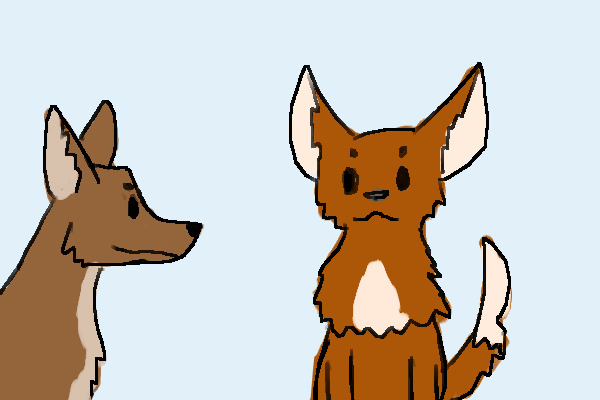 Some scribble foxes