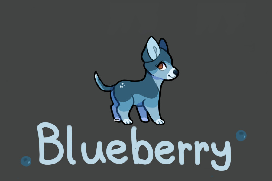 My new cutie - Blueberry!