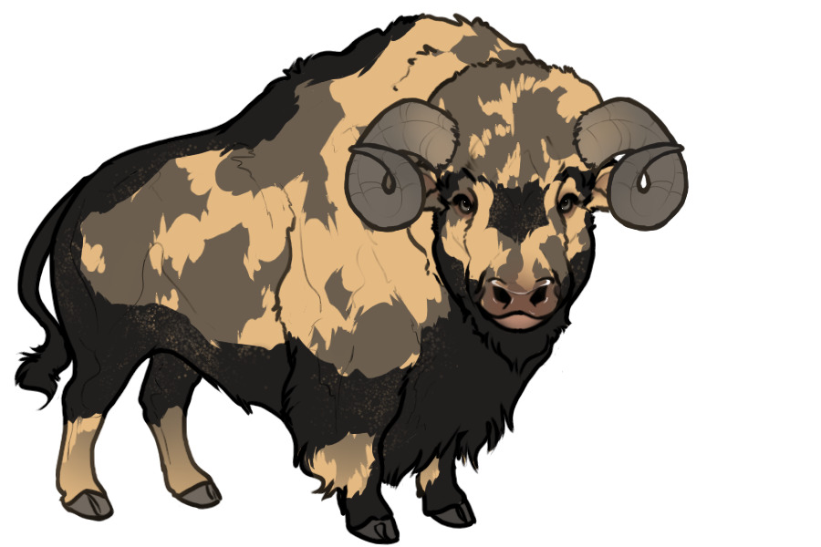 Beaumont Buffalo #C011 Adopted