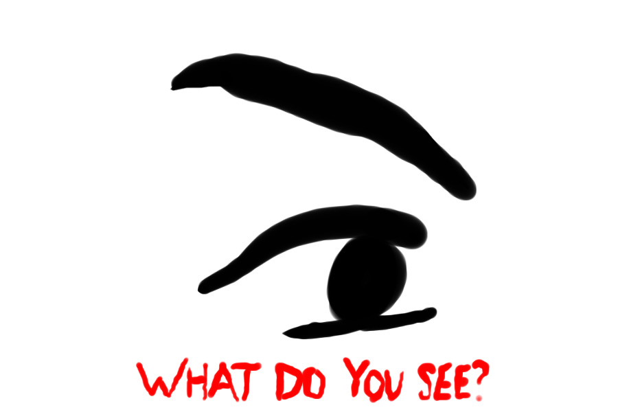 what do you see?