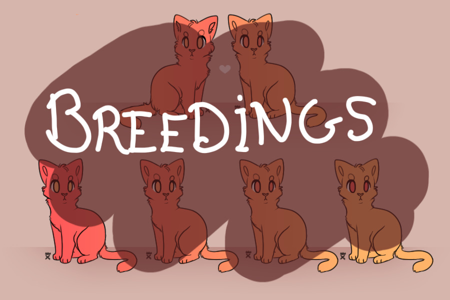 Cats breedings