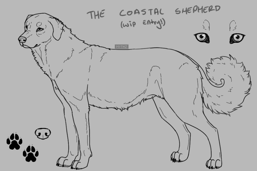 the coastal shepherd | wip entry !