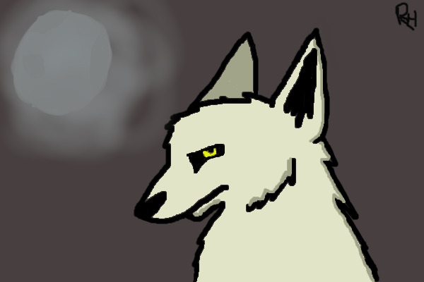 white wolf and moon