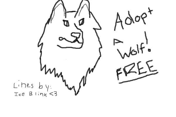 adopt a wolf! FREE!!