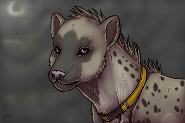 Hyena Moon