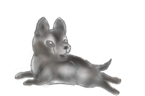 WIP: Wolf pup
