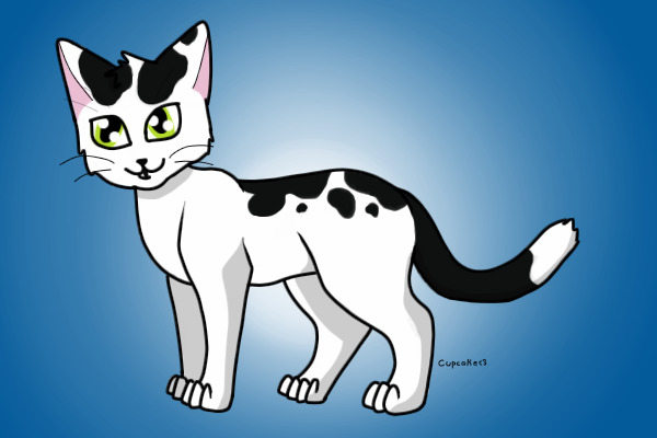 Unnamed Cat Character