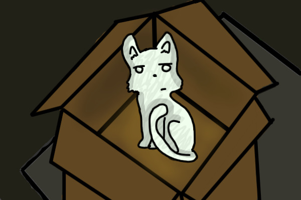 Kitty in a box :O?