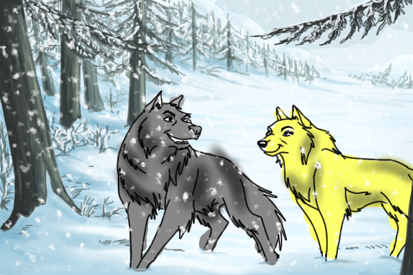 Two wolves..