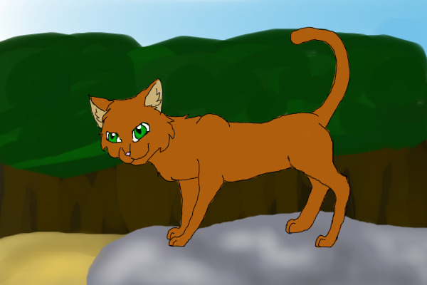 First Cat Drawing