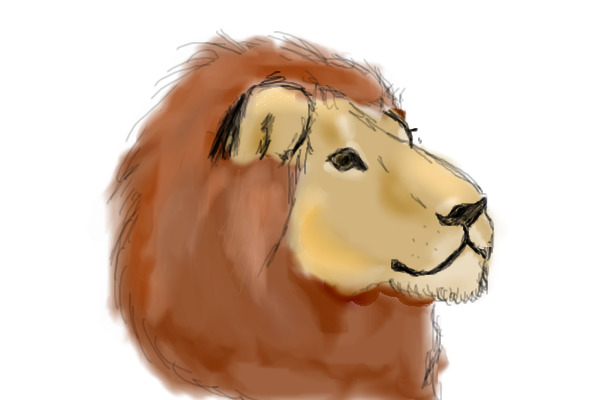 Lion :D