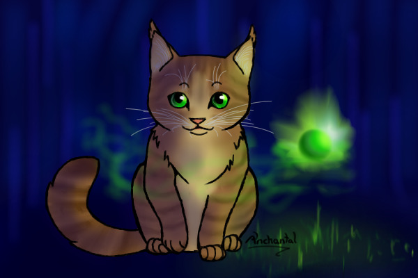 Magic forest kitty