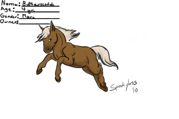 Greenhill Adoptables - Flaxen Shetland Pony