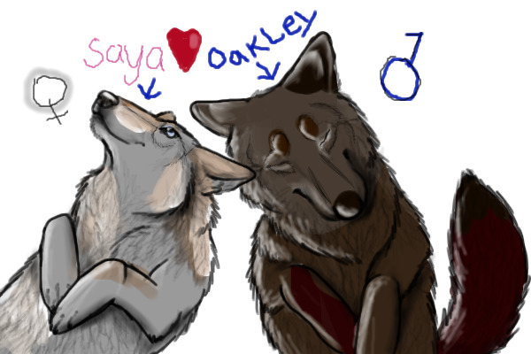 unknown territory (wolf romance rp accepting )
