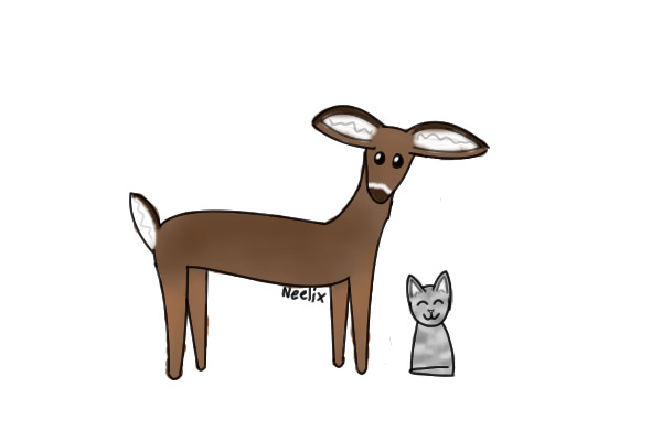 color in a Deer and Cat!