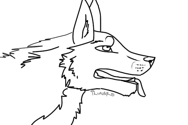 Wolf head lineart