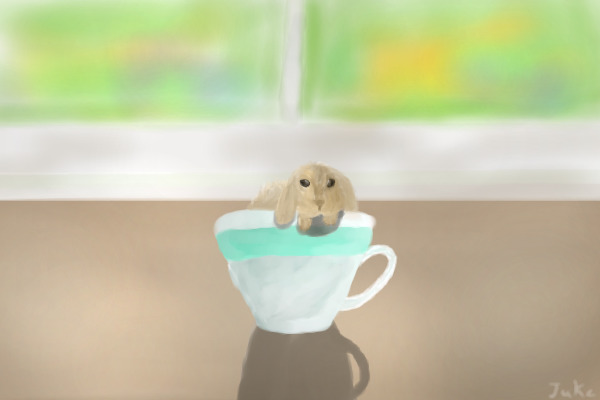 Bunny in a teacup :3