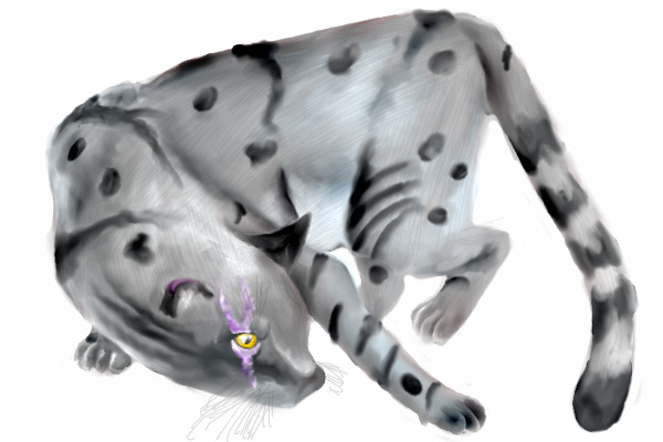 Silverleopard