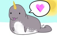 Narwhal <3