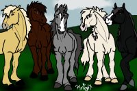 Horses [Five]