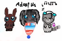 AWESOME ADOPTABLES!