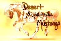 DAM: Desert Appaloosa Mustangs