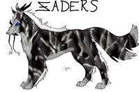 Zader Competition Entry